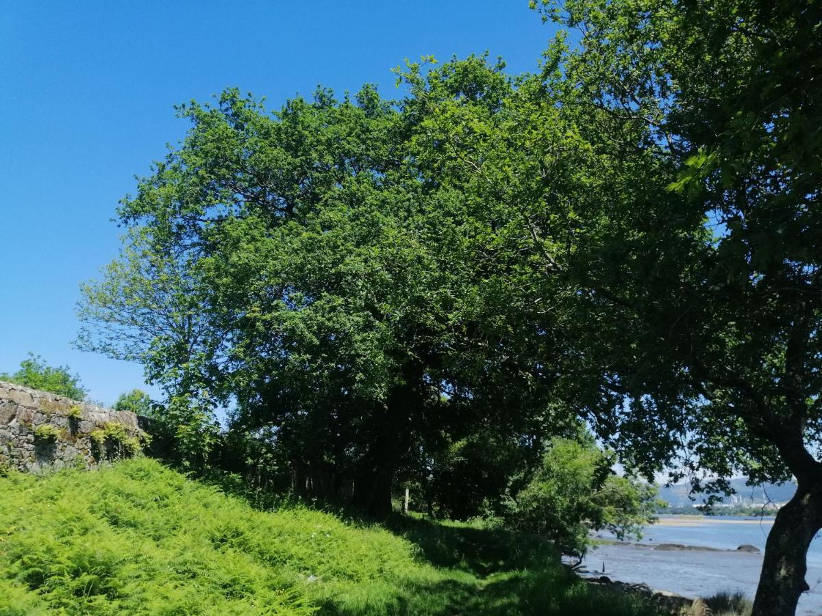 Royalheronhouse Viana do Castelo Zewnętrze zdjęcie